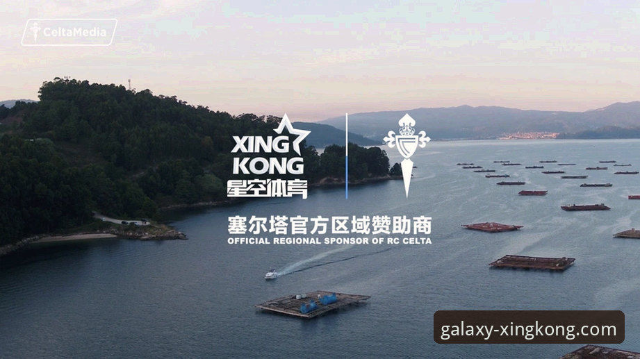 资深用户实测分享：星空体育平台使用心得与规范操作指南